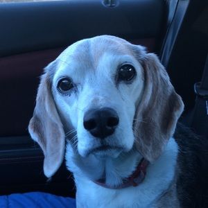 Meet your Posher, Kelcey